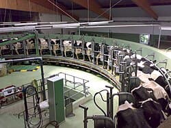 Rotary Milking Parlor